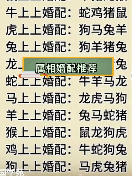 属相克生肖配对表（属相克生肖配对表怎么看？新手速懂版）