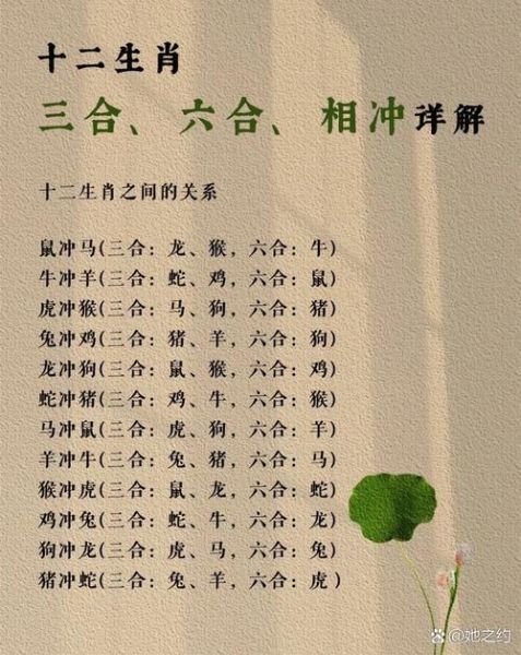 鸡属相合不合生肖相冲（属鸡与哪些属相不合相冲表）
