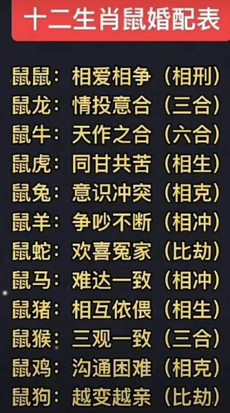 最佳情侣属相生肖（属鼠和什么属相最配情侣）