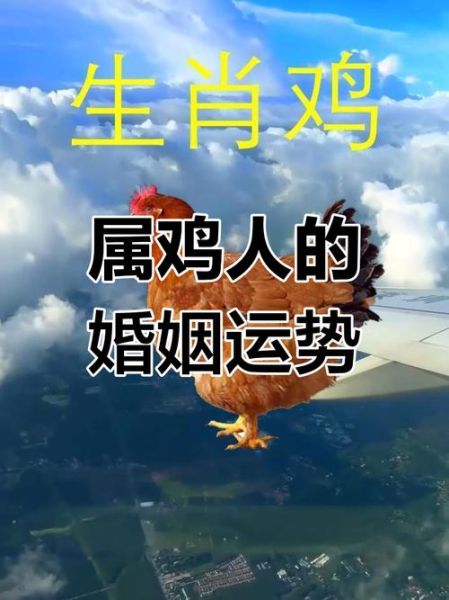 生肖鸡最佳配偶属相男（生肖鸡男最佳配偶属相是谁）