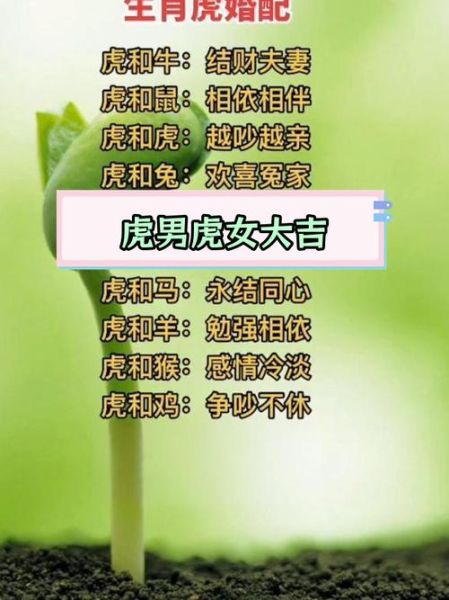 虎婚配最佳生肖属相（属虎最佳婚配生肖是谁？新手速查！）