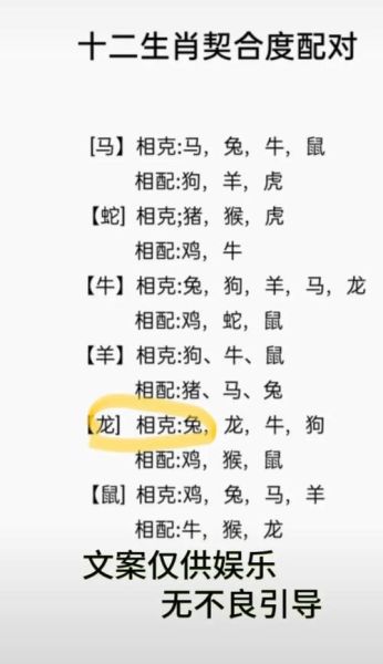 区分生肖属相（属兔和属龙以哪天分界最准确）