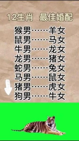 马男最佳婚配生肖属相（90后问爆的马男最佳婚配属相排行）