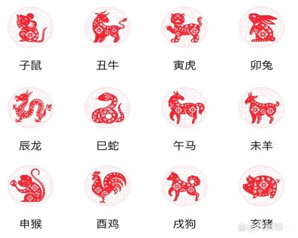 94年生属什么生肖属相（94年属什么生肖？新手秒懂速查）