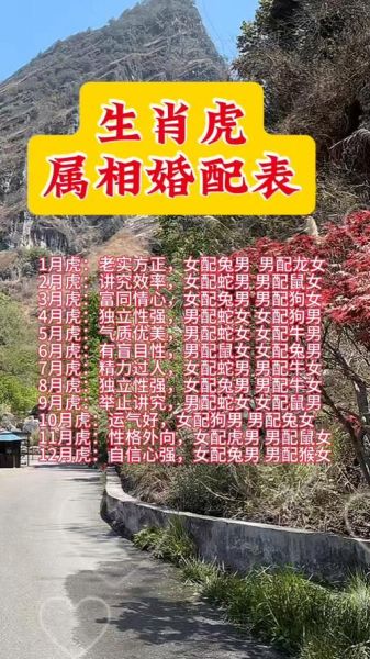 生肖虎婚姻最好属相（生肖虎婚姻最好属相配对表）