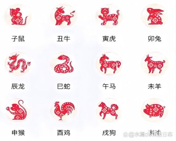 生肖猴的属相名称（生肖猴的属相名称是什么？）