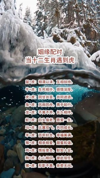 生肖夫妻牵挂的属相（生肖夫妻谁牵挂谁？虎猪配对最操心）