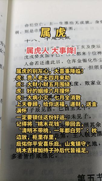 虎年财运生肖属相（虎年如何招财？生肖属相财运指南）