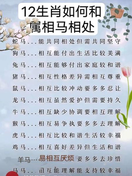 生肖和属相一样（生肖和属相一样吗？小白终极指南🔥）