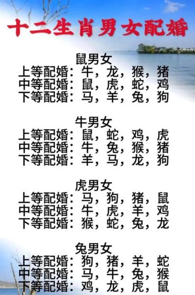 各种动物婚姻生肖属相（十二生肖婚配表靠谱吗）