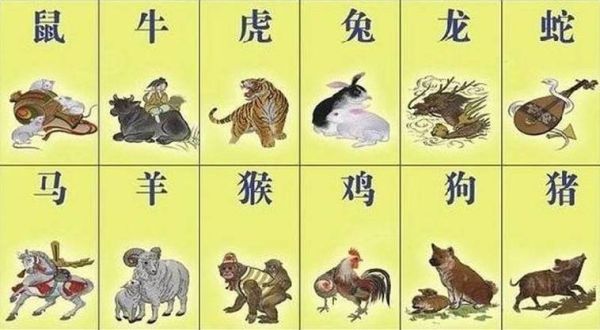 年分生肖属相排列（生肖顺序表从鼠到猪一眼看懂）