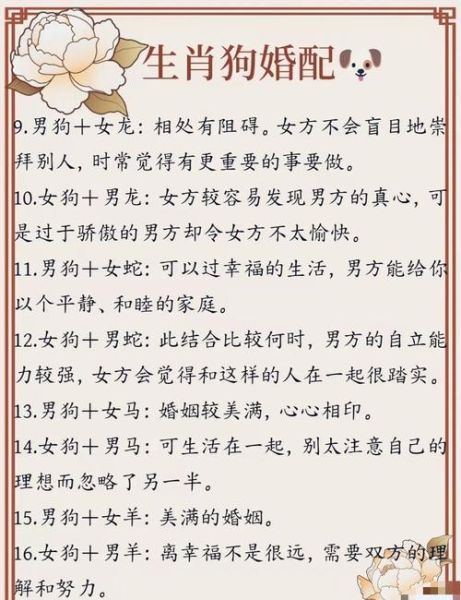 与狗属相合的生肖（与狗属相最配的生肖有哪些？）
