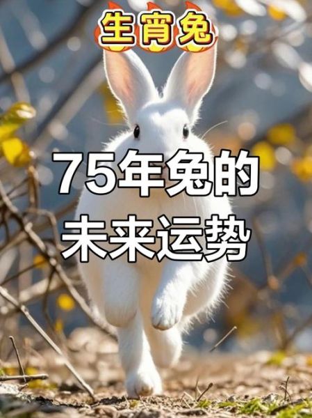 1975年属什么生肖属相（1975年到底属啥生肖？）