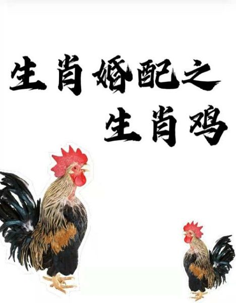 鸡生肖属相配（鸡生肖和什么属相最配最旺 ）