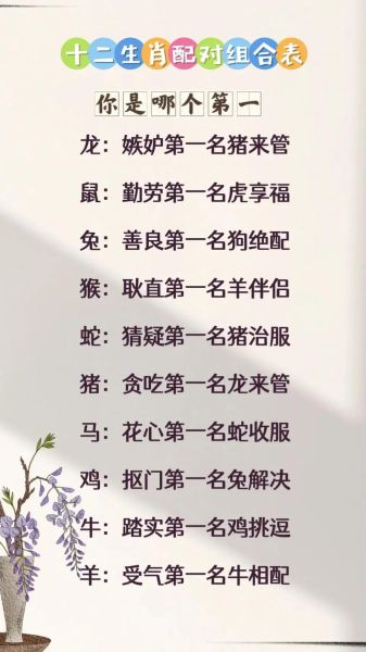 兔年最佳生肖配对属相（兔年最佳生肖配对属相🐰）