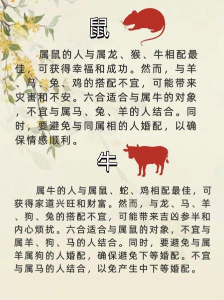 生肖马男配对什么属相（生肖马男和什么属相最配）