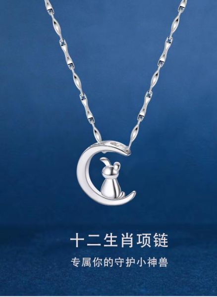 生肖属相的银饰项链（本命年银饰生肖项链怎么选？新手不踩坑指南）
