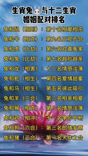 生肖属相相配表（2025新版生肖属相相配表查询🔥）