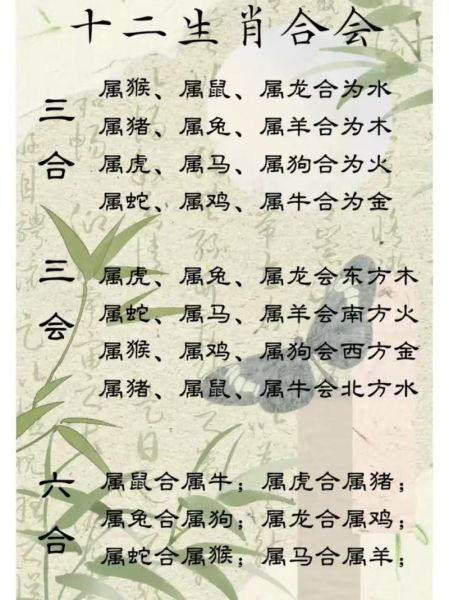 生肖属相匹配直播（生肖属相直播配对教程）