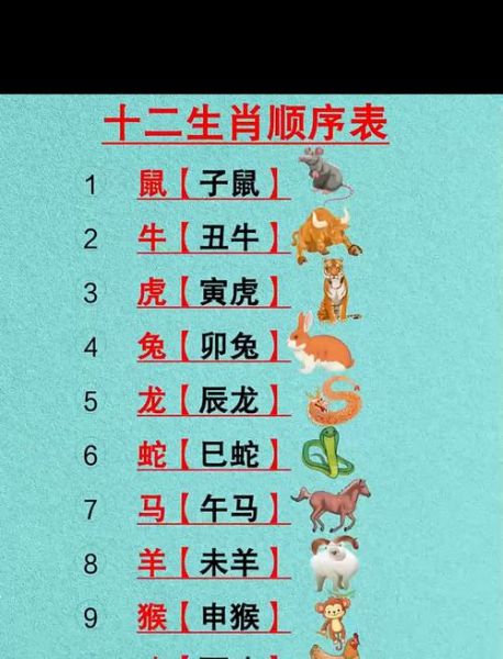 大小属相生肖（大小属相对照表及含义🔍）