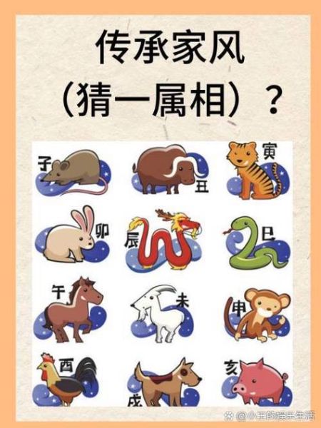 大小属相生肖（大小属相对照表及含义🔍）