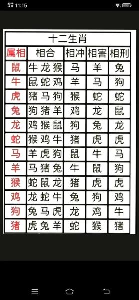 偶像生肖属相排名图片大全