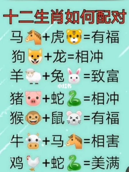 生肖马跟十二属相配对（生肖马和什么属相最配？）