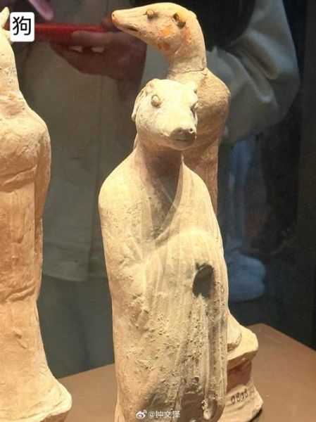 十二生肖属相馆照片（十二生肖属相馆拍照最佳角度推荐📸）