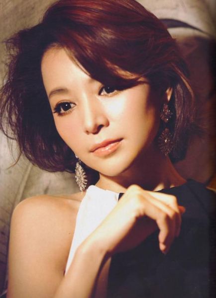 董卿属相什么生肖（董卿属什么生肖🐭）