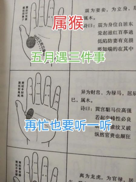 生肖56年猴属相墓地（1956年属猴人墓地位置怎么选）