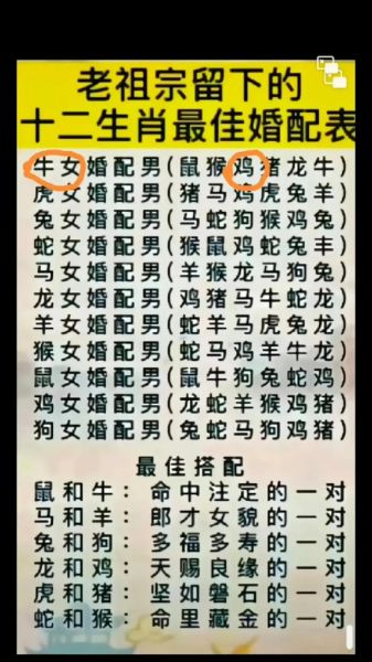 鼠鸡婚配最佳生肖属相（鼠鸡婚配哪个生肖最旺）