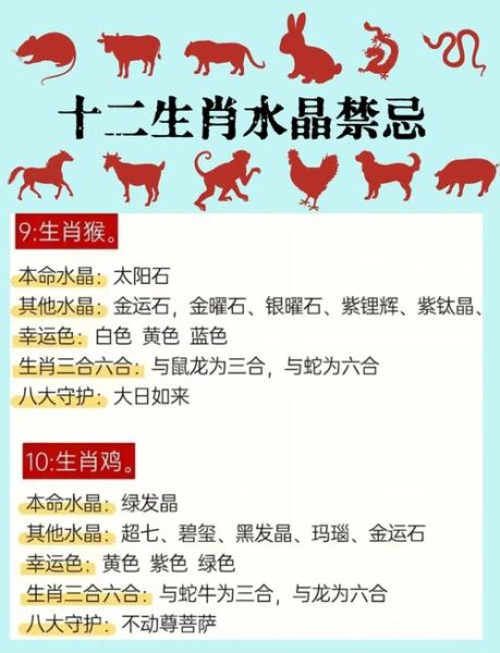 十二生肖属相密码（十二生肖属相密码对照表怎么看）