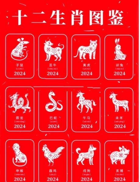 十二生肖属相密码（十二生肖属相密码对照表怎么看）