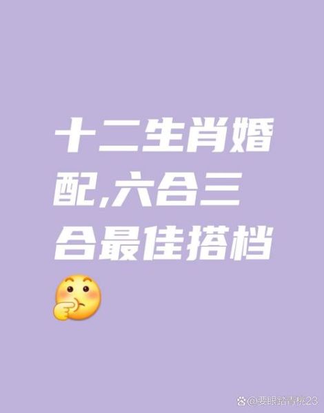 鼠生肖合作属相（鼠生肖合作属相最佳搭档是谁）