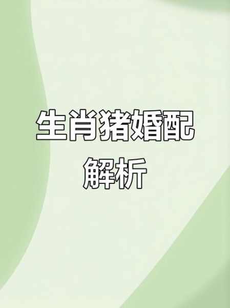生肖猪的姻缘属相(生肖猪最佳姻缘配对排行) 生肖猪的姻缘属相(生肖猪最佳姻缘配对排行)