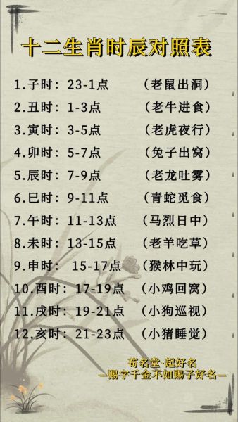 生肖属相和时辰相冲（生肖时辰真的犯冲吗？破解来了）