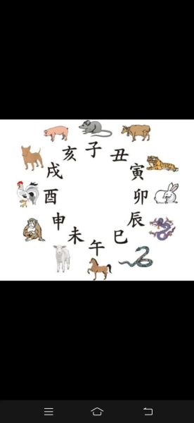 生肖属相和时辰相冲（生肖时辰真的犯冲吗？破解来了）