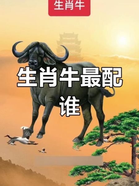 生肖牛与哪个属相相配(生肖牛和哪个属相最配?) 生肖牛与哪个属相相配(生肖牛和哪个属相最配?)