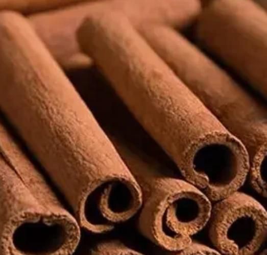 肉桂属相和啥生肖（肉桂属相是什么生肖）