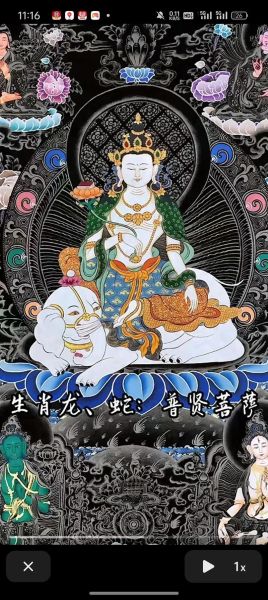 甲辰属什么生肖属相（甲辰属什么生肖属相？）