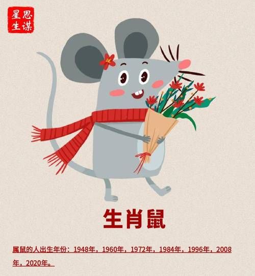 十二生肖鼠年属相运势（鼠年属鼠的人运势怎样）