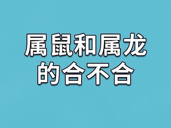 龙和什么生肖属相最好（龙最配属相揭秘：为何龙与鼠是黄金搭档）