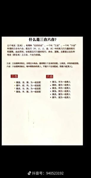 生肖鼠和哪个属相不合