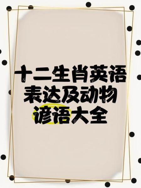 懂英文的生肖是什么属相(懂英文的生肖属相是什么生肖)