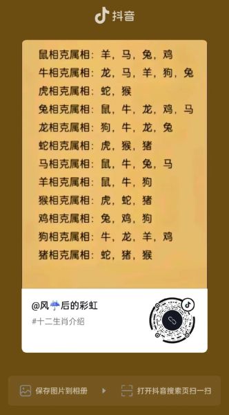 生肖狗和鸡属相(狗和鸡属相相合吗?新手最全解读)