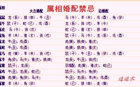 怎么看老婆生肖属相（怎么看老婆生肖属相最简单方法）