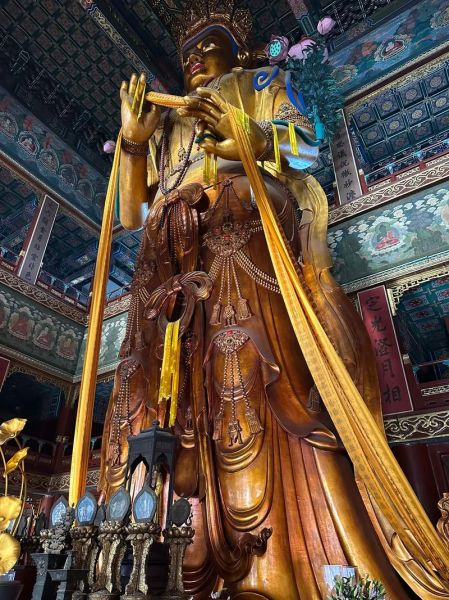 雍和宫生肖属相去摆哪个（雍和宫生肖佛像到底拜哪个？🧧）