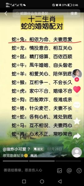 蛇属相不合的生肖(蛇和什么属相不合最准答案)