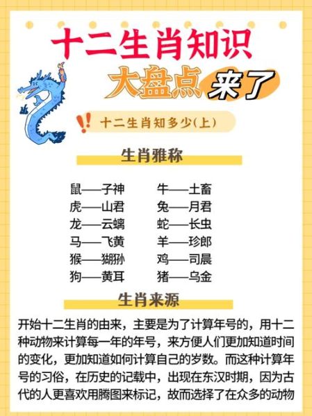 生肖鼠的属相介绍(生肖鼠性格详解🐭✨)