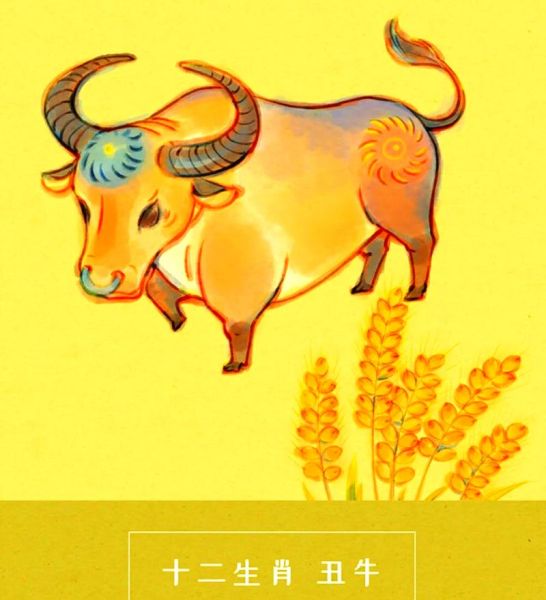 孔子是什么生肖属相的